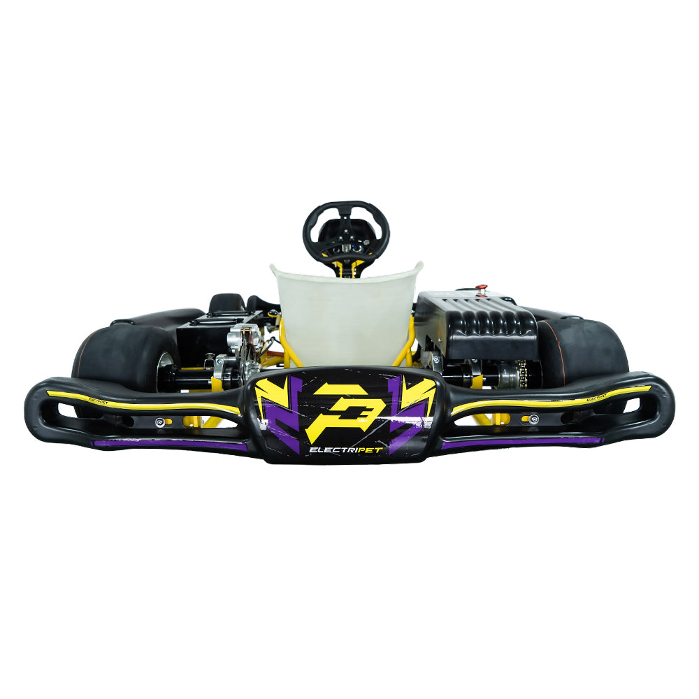 High-Performance Electric Racing Go Kart for Adults with 12KW Peak Motor & 72V Battery