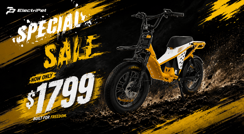 E-Bikes