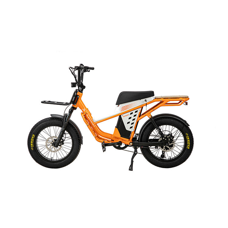 E-Bikes