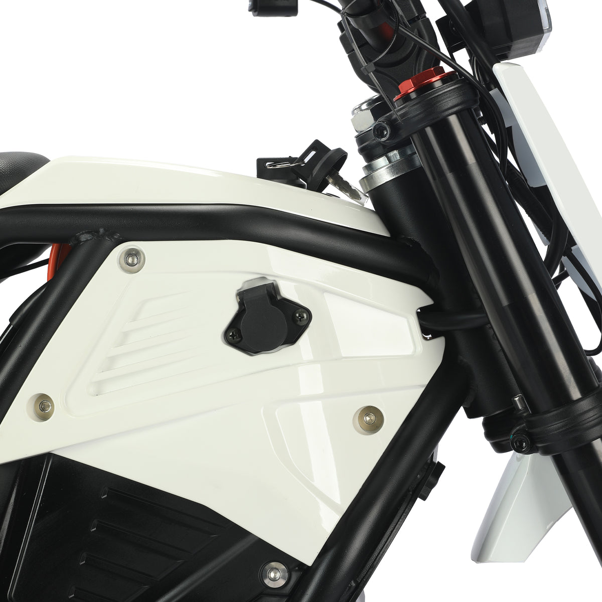 1500W Electric Dirt Bike for Adults, 48V 21Ah Lithium Battery Off-Road Electric Bike for Trail and City Riding