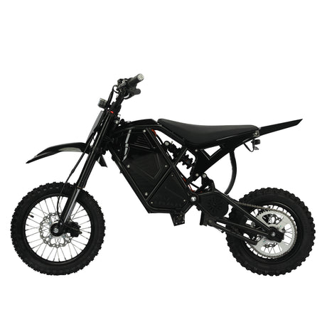 1500W Electric Dirt Bike for Adults, 48V 21Ah Lithium Battery Off-Road Electric Bike for Trail and City Riding