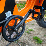 48V 50Ah Long Range Fat Tire Electric Bike for Adults, 750W Camping Ebike with 1500W Peak Motor