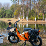 48V 50Ah Long Range Fat Tire Electric Bike for Adults, 750W Camping Ebike with 1500W Peak Motor