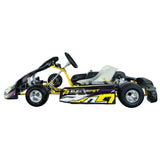 High-Performance Electric Racing Go Kart for Adults with 12KW Peak Motor & 72V Battery